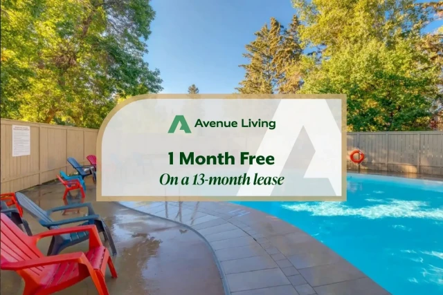 Calgary Apartment 1 b. $1,350/month. Apartment for rent in Calgary