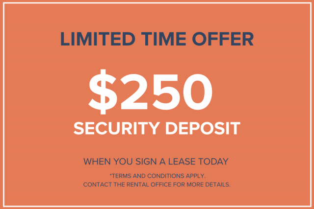 Calgary Apartment Studio $1,250/month. Apartment for rent in Calgary