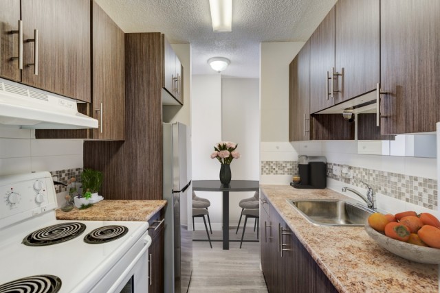 Calgary Apartment Studio $1,250/month. Apartment for rent in Calgary