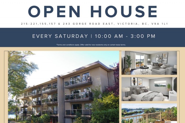 Victoria Apartment Studio $1,565/month. Apartment for rent in Victoria