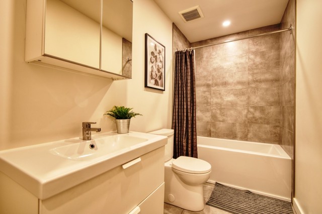 Mercier and Nouveau-Rosemont  1 b. $50/day. Apartment for rent in Mercier and Nouveau-Rosemont