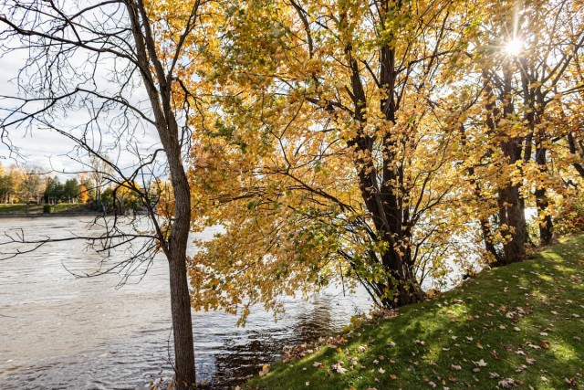 Laval-des-Rapides Apartment Studio $1,165/month. Apartment for rent in Laval-des-Rapides