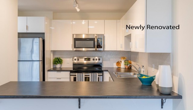 Fredericton Apartment Studio $1,350/month. Apartment for rent in Fredericton