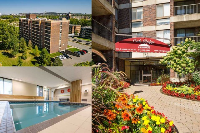 Cote-Saint-Luc Apartment 1-2 b. $1,320/month. Apartment for rent in Cote-Saint-Luc