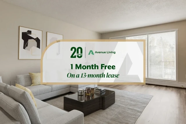 Swift Current Apartment Studio $800/month. Apartment for rent in Swift Current