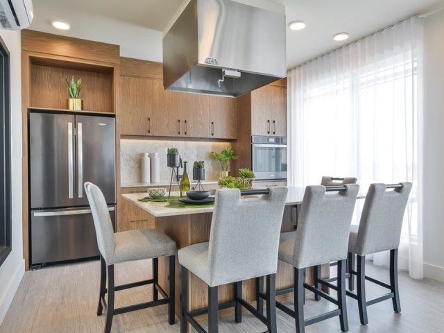 Brossard Apartment 1-2 b. $1,500/month. Apartment for rent in Brossard