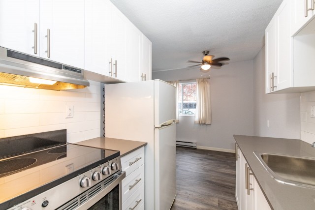 Victoria Apartment Studio $1,495/month. Apartment for rent in Victoria