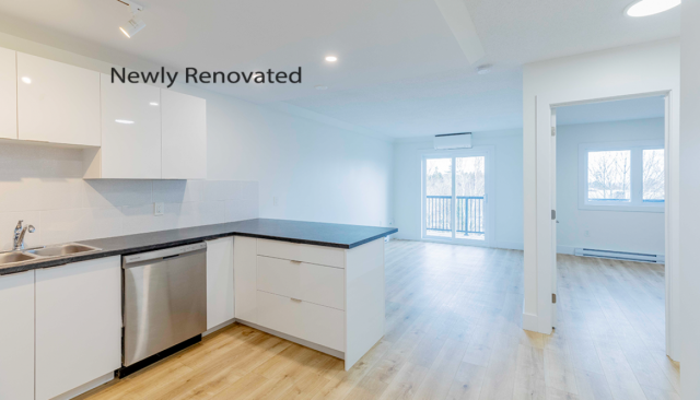 Fredericton Apartment 1 b. $1,475/month. Apartment for rent in Fredericton