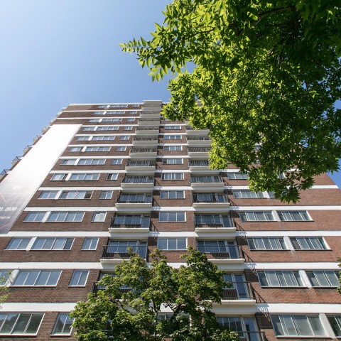 Plateau Mont-Royal Apartment 1 b. $1,425/month. Apartment for rent in Plateau Mont-Royal