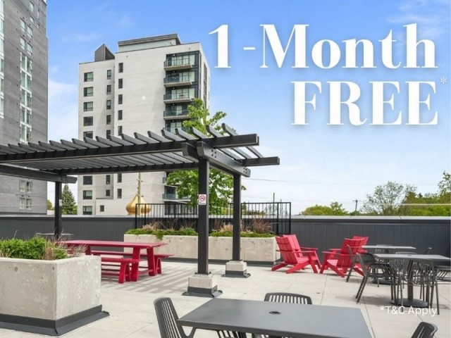 Waterloo Apartment 2 b. $2,100/month. Apartment for rent in Waterloo