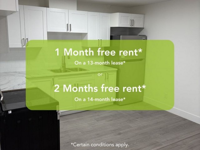 Waterloo Apartment 2 b. $1,495/month. Apartment for rent in Waterloo