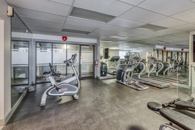 Calgary Apartment 1 b. $1,395/month. Apartment for rent in Calgary