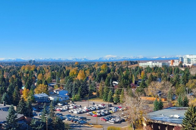 Calgary Apartment Studio $1,325/month. Apartment for rent in Calgary