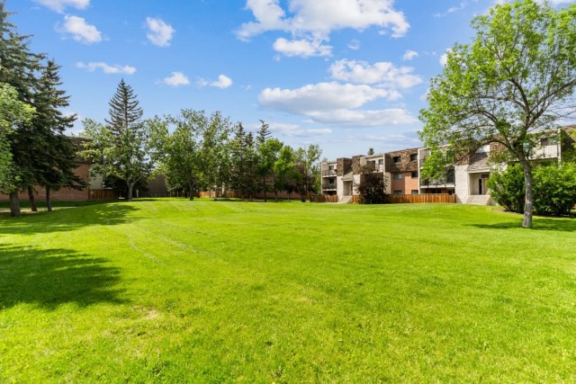 Calgary Apartment 1 b. $1,370/month. Apartment for rent in Calgary