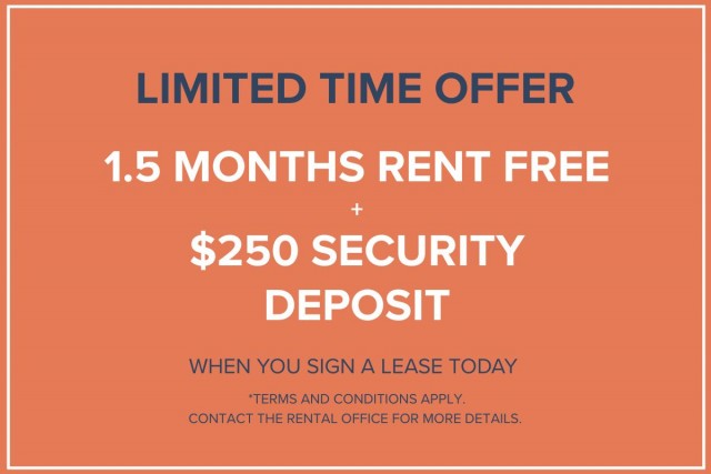 Calgary Apartment 1 b. $1,340/month. Apartment for rent in Calgary