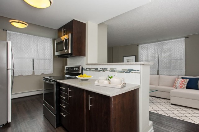 Edmonton Apartment 1 b. $1,195/month. Apartment for rent in Edmonton