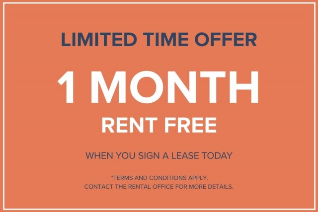 Vancouver Apartment 1 b. $1,495/month. Apartment for rent in Vancouver