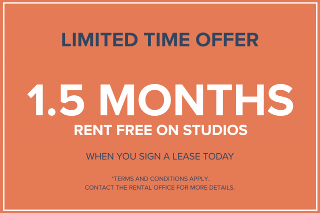 Quartier latin and south-central Apartment Studio $1,180/month. Apartment for rent in Quartier latin and south-central