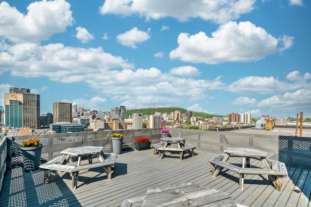 Quartier latin and south-central Apartment 1 b. $1,530/month. Apartment for rent in Quartier latin and south-central