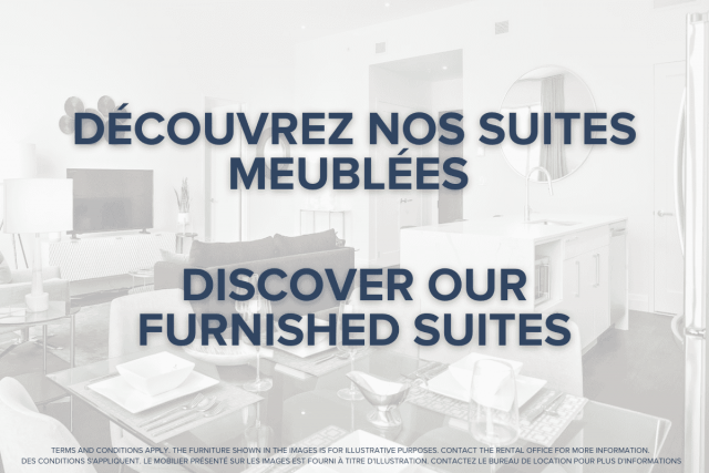Downtown - Montreal Apartment Studio $1,185/month. Apartment for rent in Downtown - Montreal