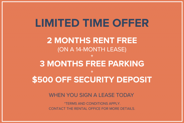 Edmonton Apartment 1 b. $1,435/month. Apartment for rent in Edmonton
