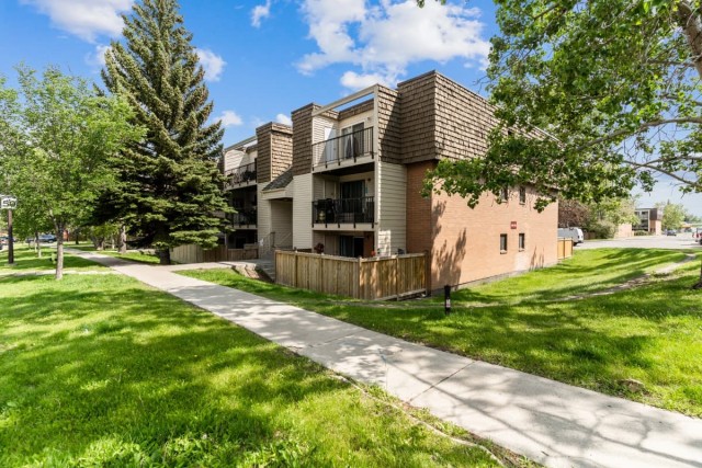 Calgary Apartment 1 b. $1,350/month. Apartment for rent in Calgary