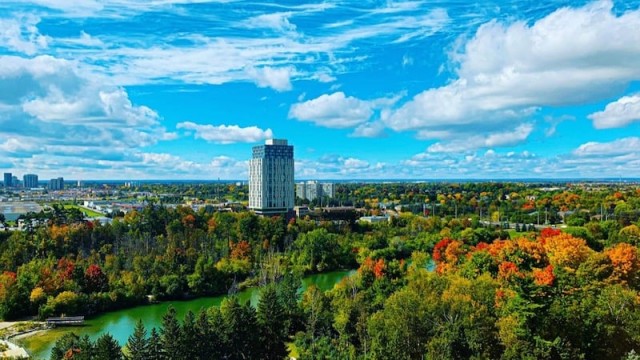 Brampton Apartment Studio $2,208/month. Apartment for rent in Brampton