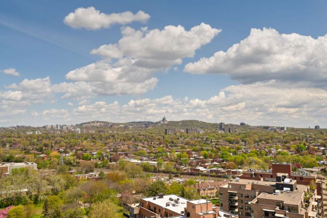 Cote-Saint-Luc Apartment 2 b. $1,725/month. Apartment for rent in Cote-Saint-Luc