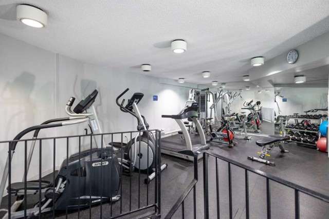 Quartier latin and south-central Apartment Studio $1,225/month. Apartment for rent in Quartier latin and south-central