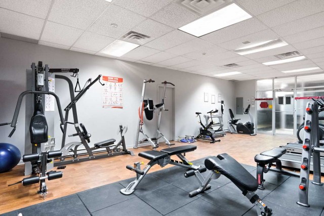 Plateau Mont-Royal Apartment Studio $1,180/month. Apartment for rent in Plateau Mont-Royal