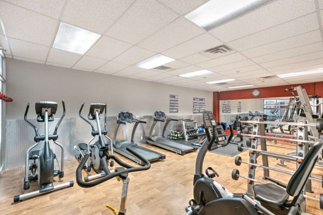 Plateau Mont-Royal Apartment 1 b. $1,440/month. Apartment for rent in Plateau Mont-Royal