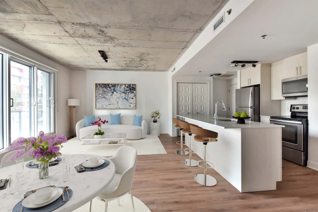 Quartier latin and south-central Apartment 1 b. $1,750/month. Apartment for rent in Quartier latin and south-central