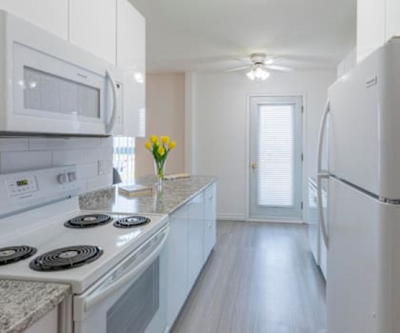 Moncton Apartment 1 b. $1,325/month. Apartment for rent in Moncton