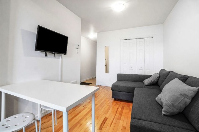 Hochelaga-Maisonneuve  1 b. $53/day. Apartment for rent in Hochelaga-Maisonneuve