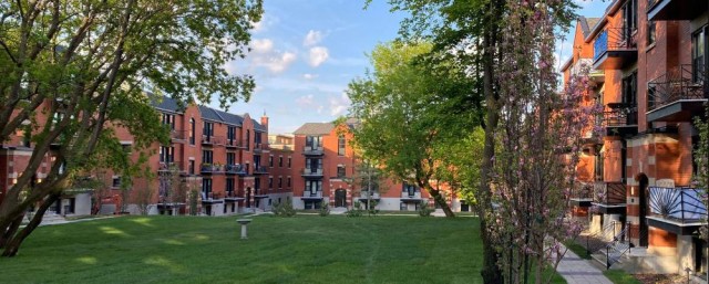Cote-des-Neiges Apartment 1 b. $1,475/month. Apartment for rent in Cote-des-Neiges