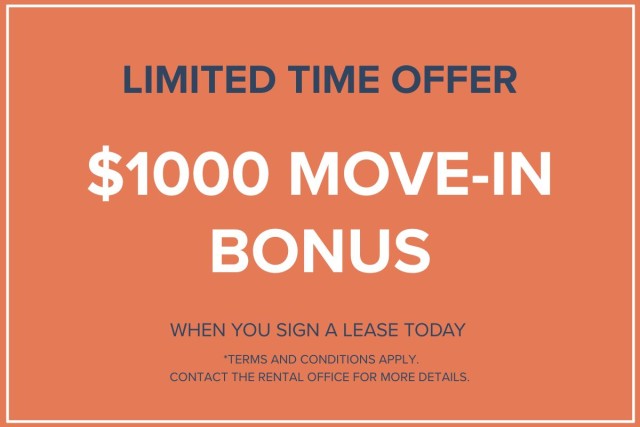 Calgary Apartment Studio $1,350/month. Apartment for rent in Calgary