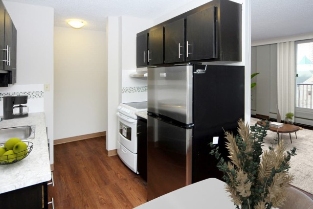 Calgary Apartment Studio $1,350/month. Apartment for rent in Calgary