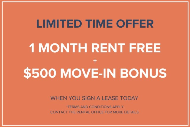 Calgary Apartment Studio $1,275/month. Apartment for rent in Calgary