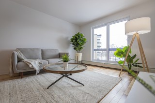 Property #221292