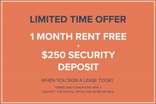 Property #180095