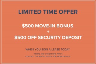 Property #180485