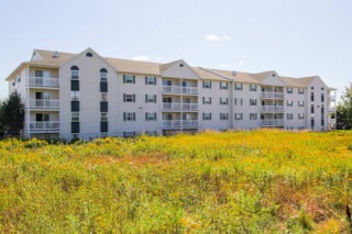 Property #233113