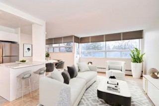 Property #235454