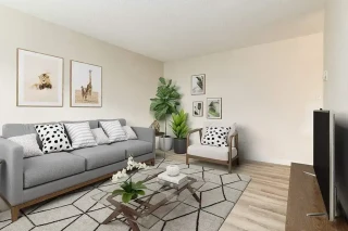 Property #235233