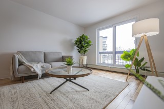 Property #220516