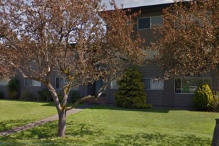 Property #236311
