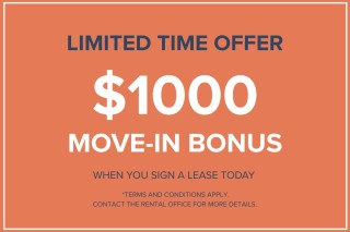 Property #180091